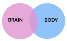 Venn_Brain-Body-1024x635.png