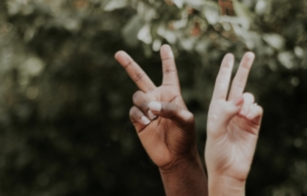2_hands_B_W.png