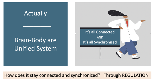 MW_all_connected.png